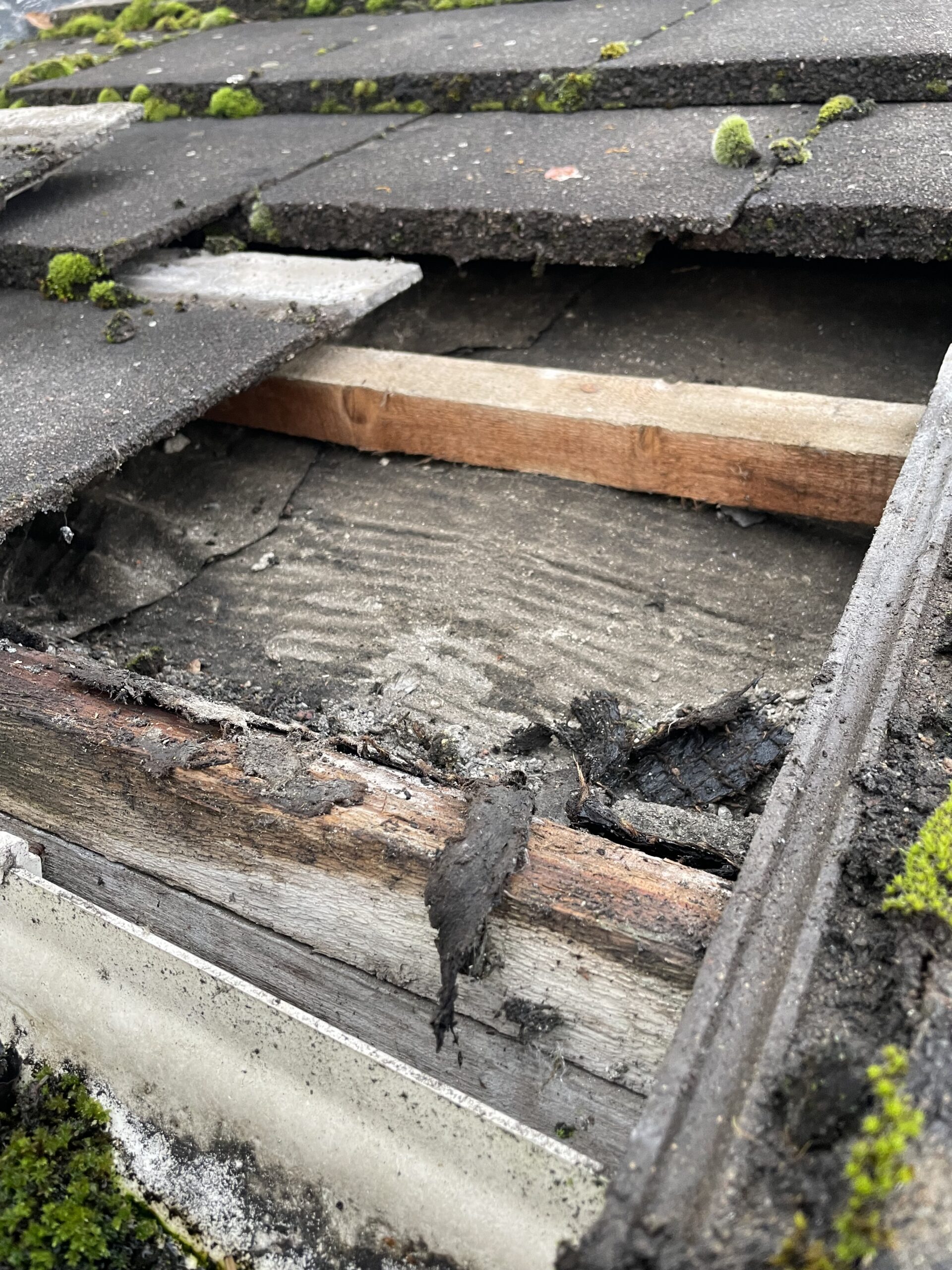 The importance of eave support trays Rainline